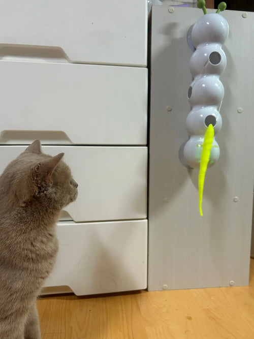 Jouet PurrSpin – Transformez l’Ennui en Plaisir de Chasse — photo d'un client 4