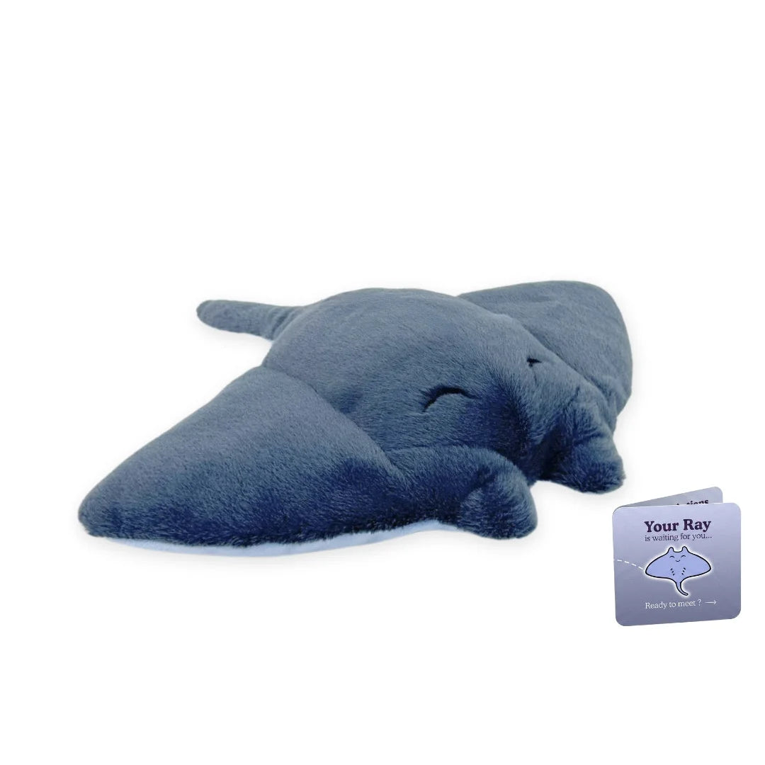 Peluche D'Adoption Animal Marin — Raie, photo 7