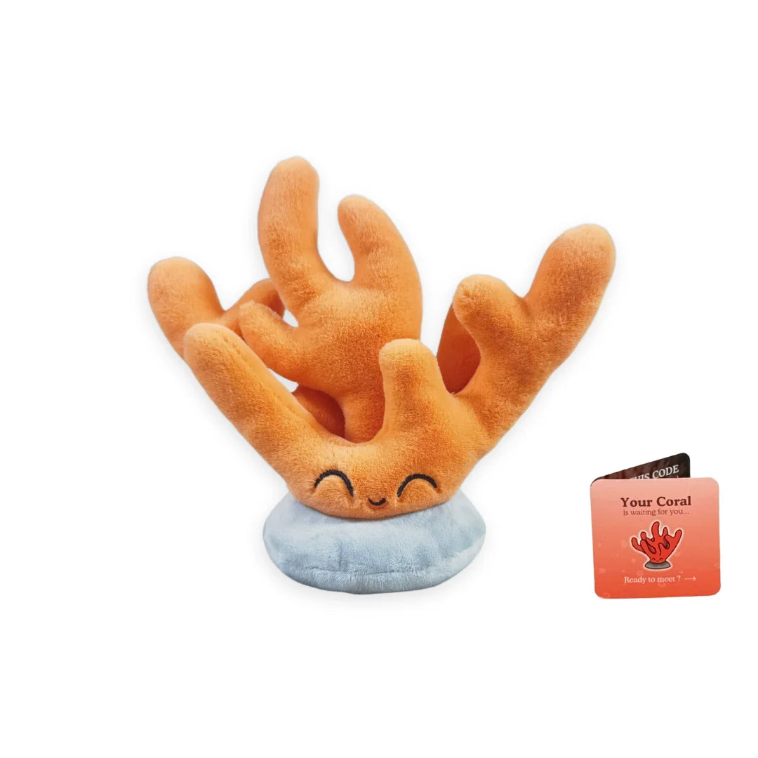 Peluche D'Adoption Animal Marin — Corail, photo 15